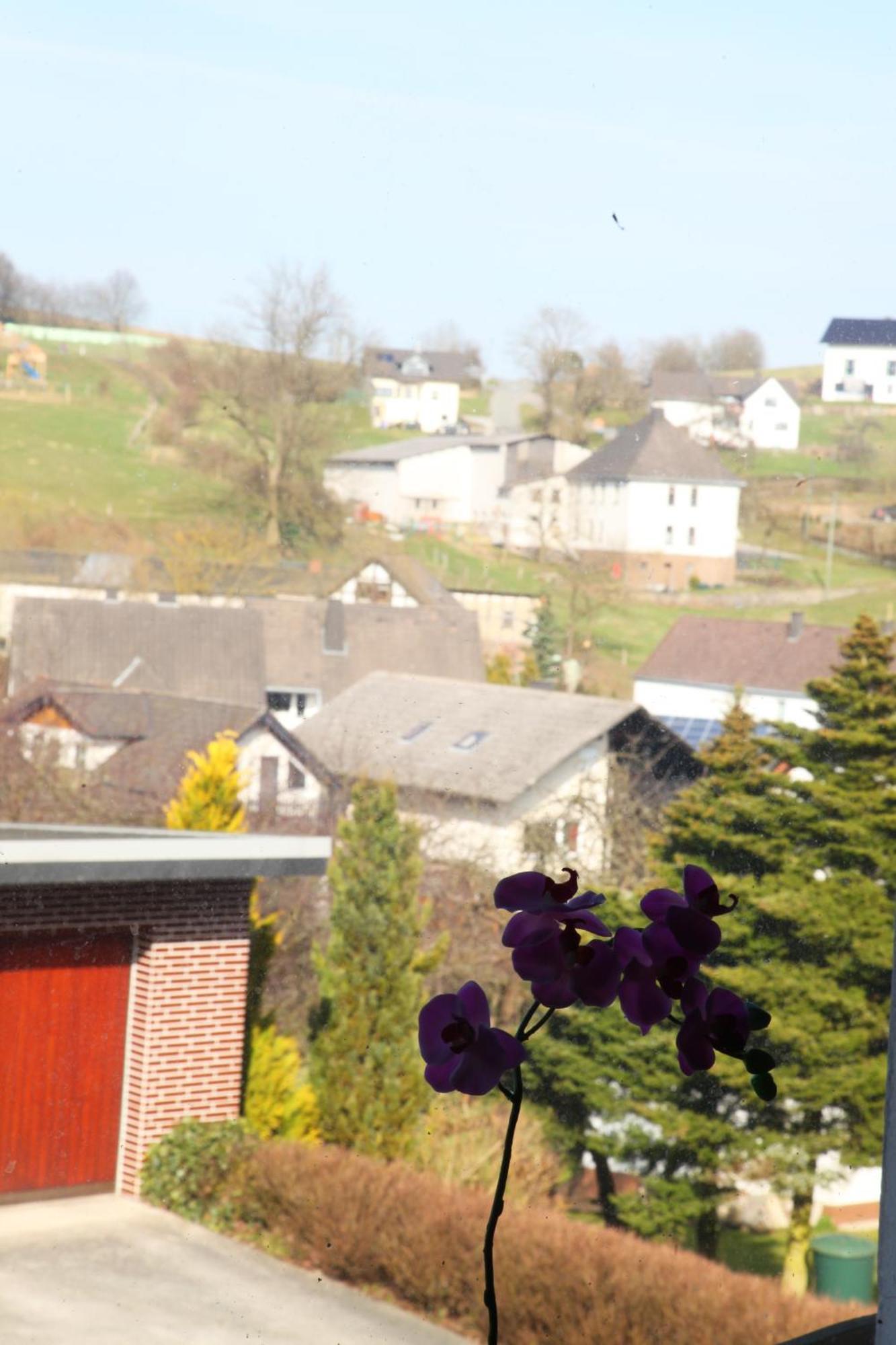 Haus Nova Am Bollerberg Bed & Breakfast Hallenberg Eksteriør bilde